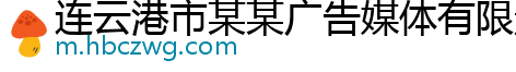 连云港市某某广告媒体有限责任公司