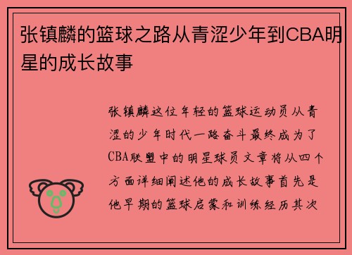 张镇麟的篮球之路从青涩少年到CBA明星的成长故事